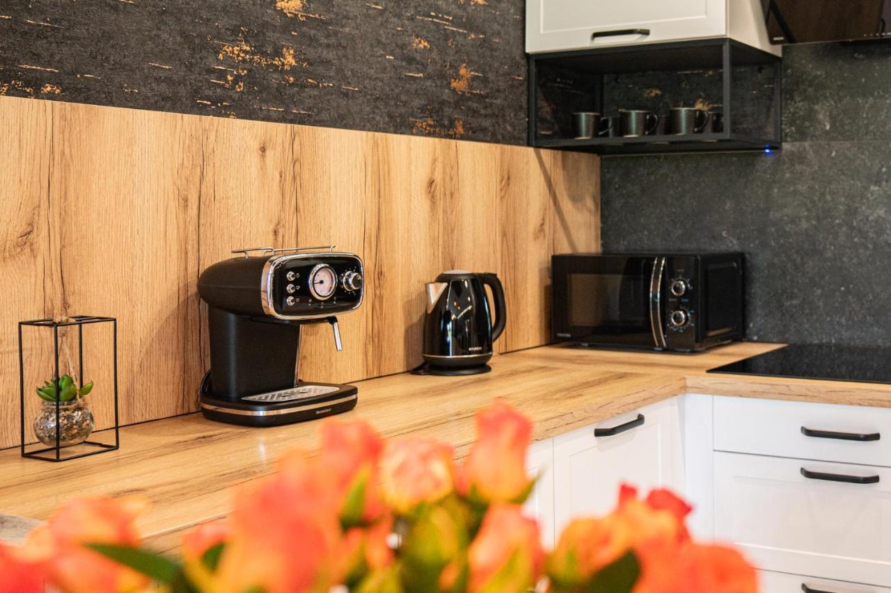 옐레니아구라 Apartament Duzy Staw 아파트 외부 사진